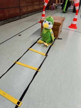 Bild mit Chili und der Koordinationsleiter