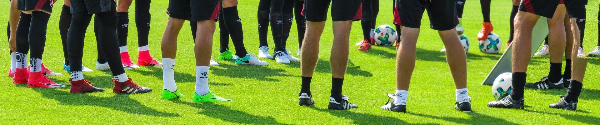 Mülheimer Sportbund e.V.