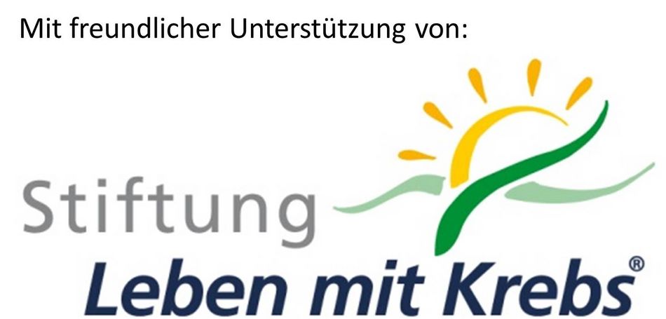 Logo "Stiftung Leben mit Krebs" Logo "Stiftung Leben mit Krebs"