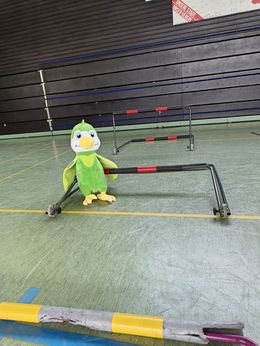 Bild mit Chili und Hürden