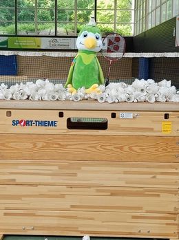 Bild mit Chili und Kasten, Federbällen und Badmintonnetz